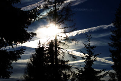 Silhouette trees by snowcapped mountains against sky during winter