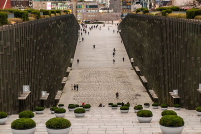 High angle view of people on footpath amidst plants in city