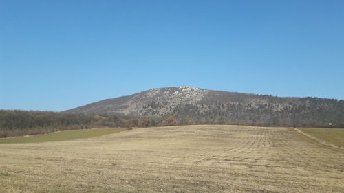 Scenic view of landscape against clear blue sky