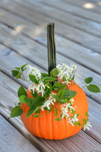 High angle view of pumpkin outside