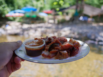 Close-up of hand holding fried pork in plate