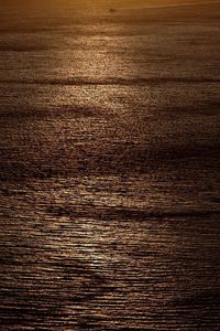 Close-up of textured wood in the dark