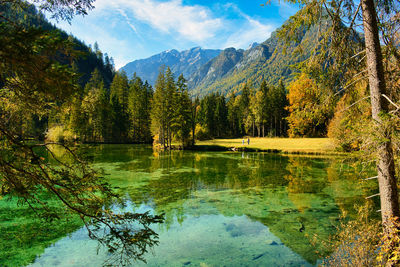 Scenic view of lake by trees against sky