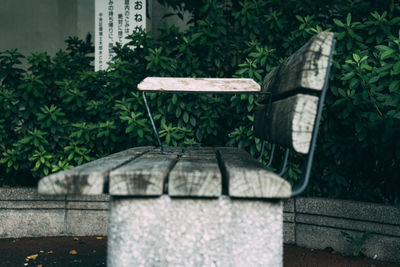 Bench against plants in yard