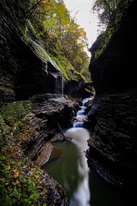 Scenic view of waterfall in forest
