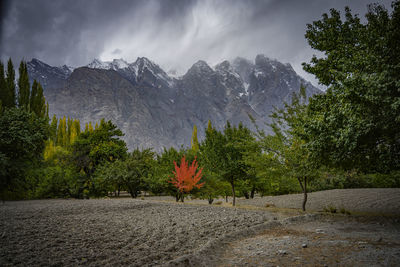 Scenic view of trees and mountains against sky