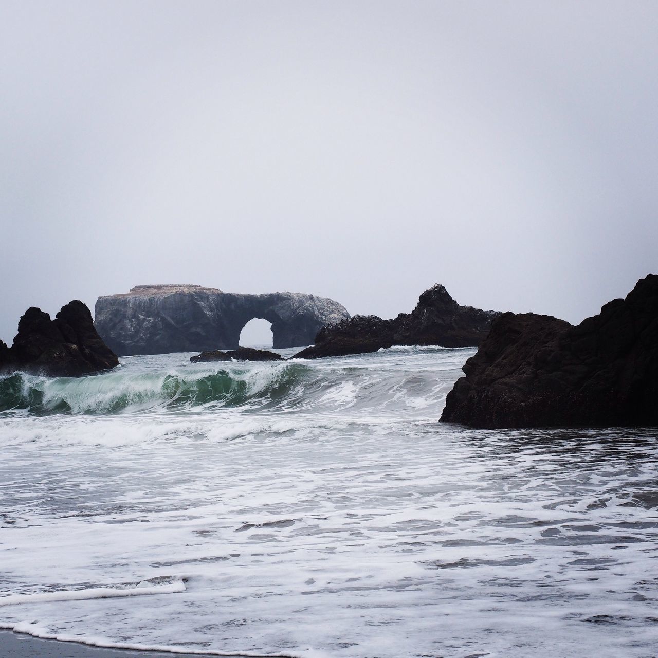 Sonoma Coast