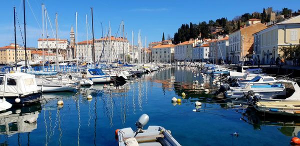 Sailboats moored at harbor