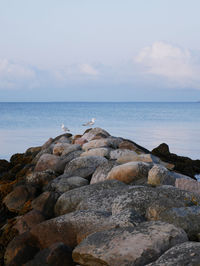 Rocks on shore by sea against sky