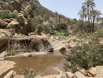 wadi