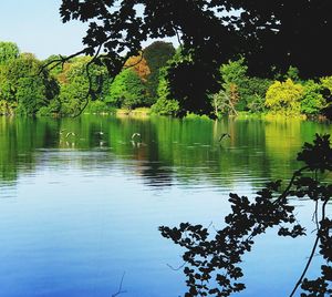 Scenic view of lake