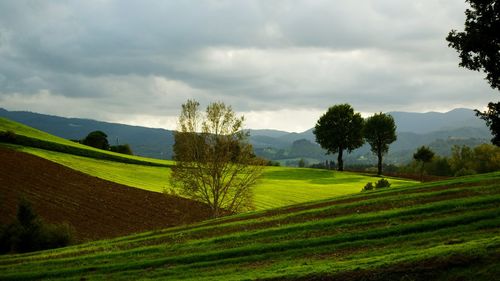 Scenic view of field against cloudy sky