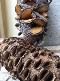 Close-up of coffee beans on wall