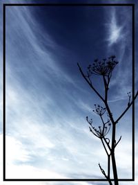 Low angle view of bare trees against cloudy sky