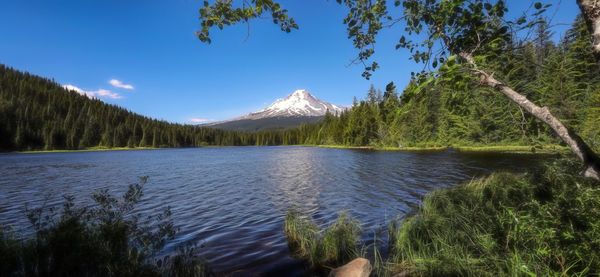 Scenic view of lake and trees against sky