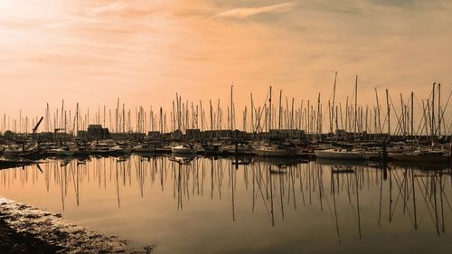 Sailboats in harbor at sunset