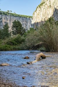 Scenic view of river against sky