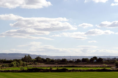 Scenic view of field against sky