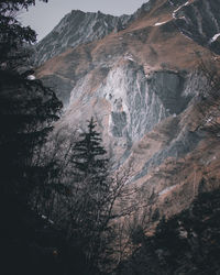 Scenic view of snow covered land