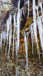 Icicles in frozen water