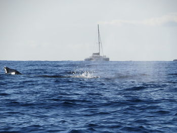 Boat sailing in sea