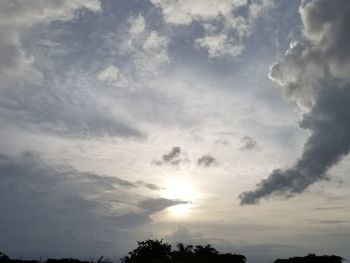 Low angle view of silhouette trees against sky