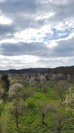 Scenic view of grassy field against cloudy sky