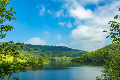 Scenic view of lake by trees against sky