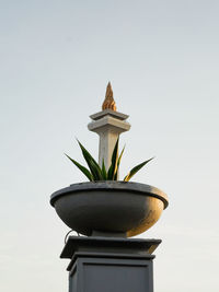 Low angle view of potted plant against clear sky