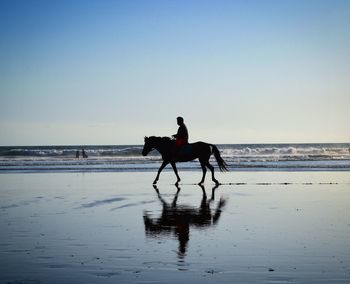 Silhouette man riding horse on beach