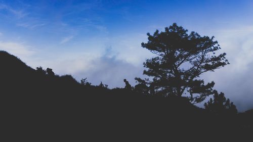 Low angle view of silhouette trees in forest against sky