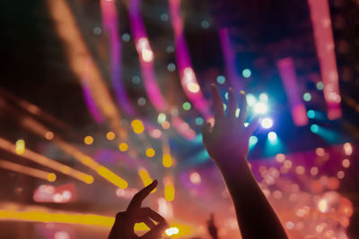 People enjoying music concert at night