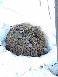 Close-up of hay bales on field during winter