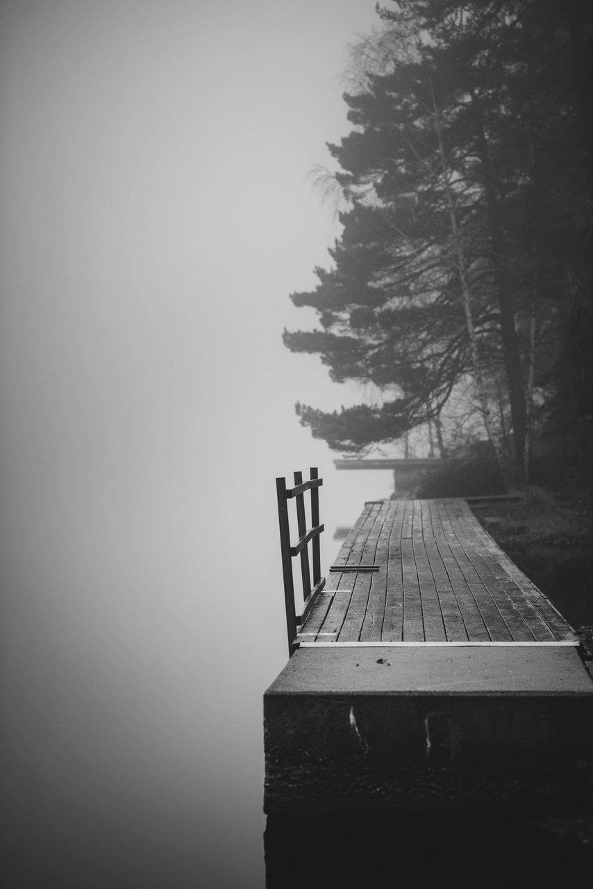 EMPTY BENCH BY TREES AGAINST SKY