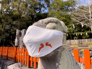 Rear view of woman wearing hat