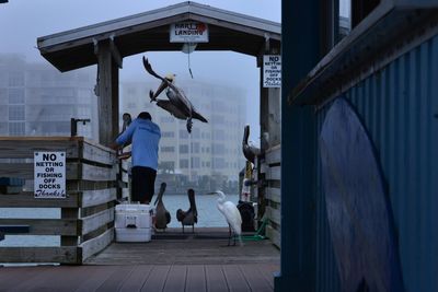 Man standing by birds on pier at river