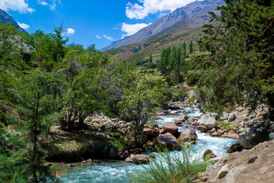 Scenic view of river amidst trees against sky