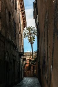 Narrow alley amidst buildings in city