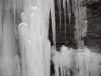 Close-up of hand on snow