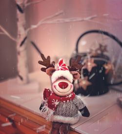 Close-up of stuffed toy