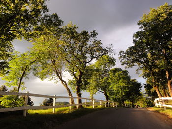 Empty road with trees in background