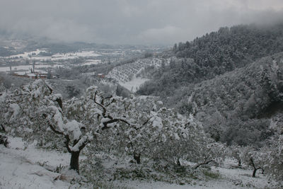 Scenic view of landscape against sky