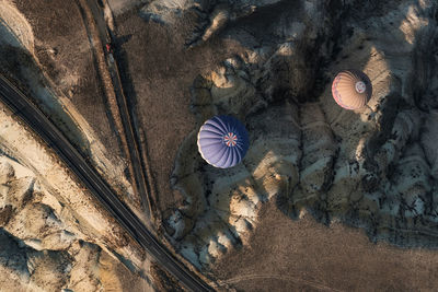 High angle view of flowering plants on rocks