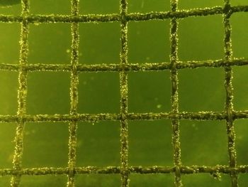 Full frame shot of chainlink fence