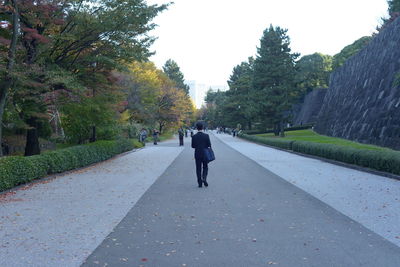 Rear view of man walking on footpath amidst trees