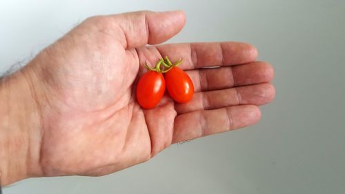 Close-up of hand holding tomatoes
