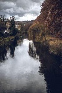 Scenic view of river amidst trees in forest against sky