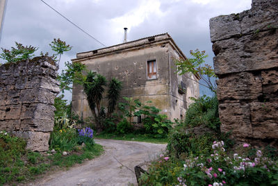 Flowering plants by old building against sky