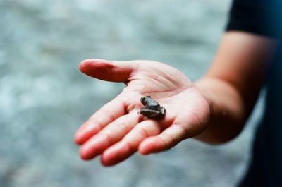 Midsection of man holding snail