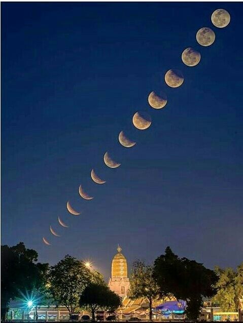 illuminated, night, architecture, built structure, building exterior, clear sky, tree, low angle view, sky, lighting equipment, blue, city, copy space, street light, outdoors, travel destinations, moon, no people, decoration, celebration